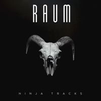 Ninja Tracks - RAUM