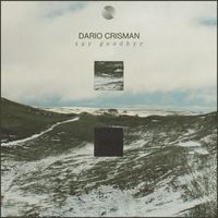 Dario Crisman - Say Goodbye