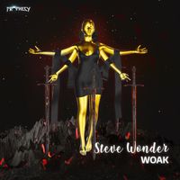WOAK - Steve Wonder