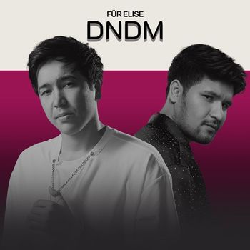DNDM - Für Elise