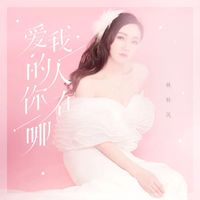 林秋风 - 爱我的人你在哪