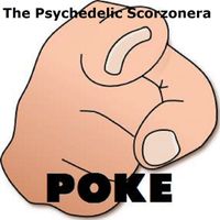 The Psychedelic Scorzonera - POKE