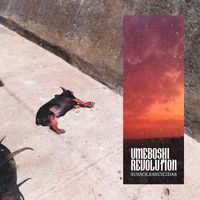 Umeboshi Revolution - Sussolessuicidas