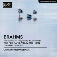 Christopher Williams - Brahms: Transcriptions for Piano