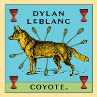 Dylan LeBlanc - The Crowd Goes Wild