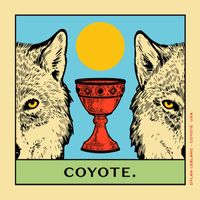 Dylan LeBlanc - Coyote