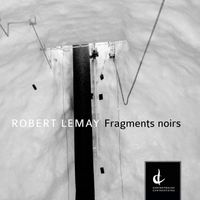 Stereoscope Saxophone Duo - Robert Lemay: Fragments noirs