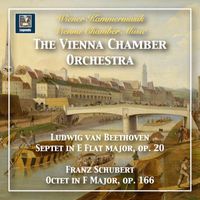 Vienna Chamber Orchestra - Vienna Chamber Music: Ludwig van Beethoven & Franz Schubert