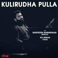 Santhosh Narayanan - Kulirudha Pulla