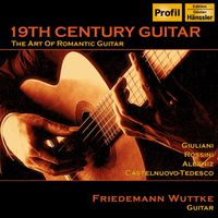 Friedemann Wuttke - 19th Century Guitar: The Art of Romantic Guitar
