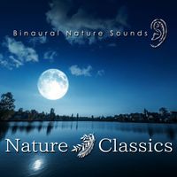 binaural field - Nature Classics - Sea Wave (Binaural Environmental Sound)