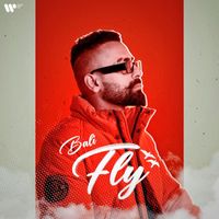 Bali - Fly