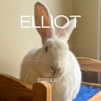 Forest - Elliot