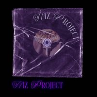 Niz - NIZ PROJECT