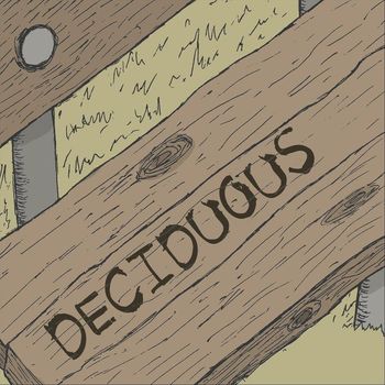 Chainstay - Deciduous