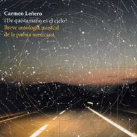 Carmen Leñero - De qué tamaño es el cielo?