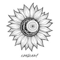 Crescent - Sunflower