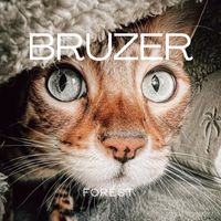 Forest - Bruzer