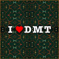 PARANDROID - I Love Dmt