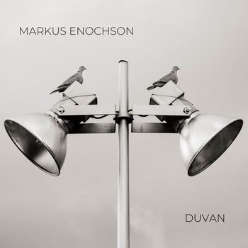 Markus Enochson - Duvan