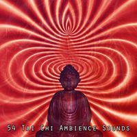 Zen Meditation and Natural White Noise and New Age Deep Massage - 54 Tai Chi Ambience Sounds