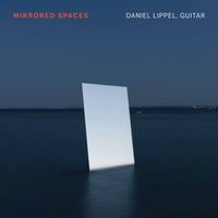 Daniel Lippel - Mirrored Spaces