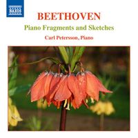 Carl Petersson - Beethoven: Piano Fragments & Sketches