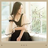 林秋风 - 戒不开的思念