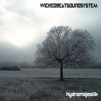 Wicked Beat Sound System - Hydromajestik