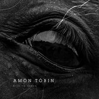 Amon Tobin - Rise to Ashes
