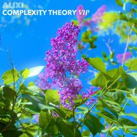alixi - Complexity Theory (VIP)