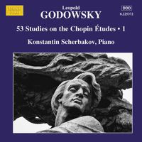 Konstantin Scherbakov - Godowsky: Piano Music, Vol. 14