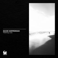 David Hopperman - Feeling Low