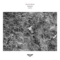 Dorian Wood - Excesiva