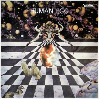 Human Egg - Human Egg
