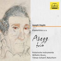 Abegg Trio - Haydn: Chamber Works