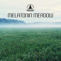 Mindfulness Meditation Music Spa Maestro - Melatonin Meadow (The Energy Of Surrender and Acceptance, Nature Noisescapes)