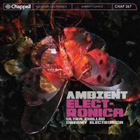 Colin Nicholas Baldry, Tom Kane - Ambient Electronica