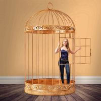 Brandi Alden - Set It Free
