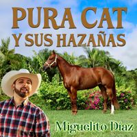 Miguelito Díaz - Pura Cat y sus Hazañas