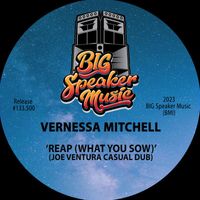 Vernessa Mitchell - Reap (What You Sow) (Joe Ventura Casual Dub)
