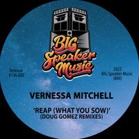 Vernessa Mitchell - Reap (What You Sow) (Doug Gomez Remixes)