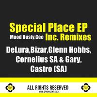 Mood Dusty - Special Place