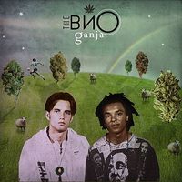 The ВЙО - Ganja