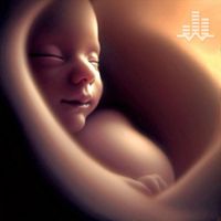 Tmsoft's White Noise Sleep Sounds - Womb Sound