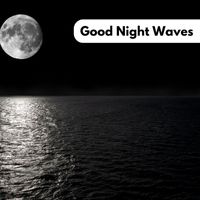 Shaman - Good Night Waves