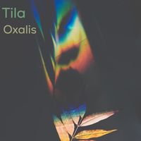 Tila - Oxalis