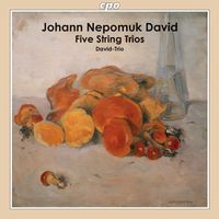 Ober-Österreichisches David-Trio - David: 5 String Trios