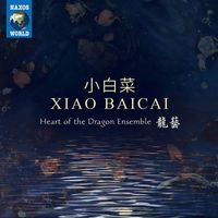 Heart of the Dragon Ensemble - Xiao Baicai