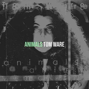 Tom Ware - Animals